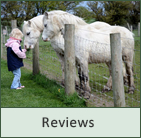 What our customers say